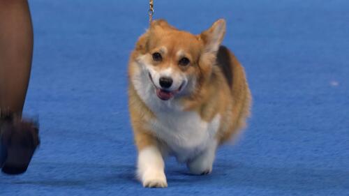 优质服务,遍布全国